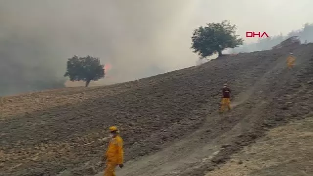 Son dakika haber! KAHRAMANMARAŞ'TA ORMAN YANGINI