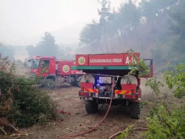 Son dakika haberleri! Kahramanmaraş'ta orman yangını (3)