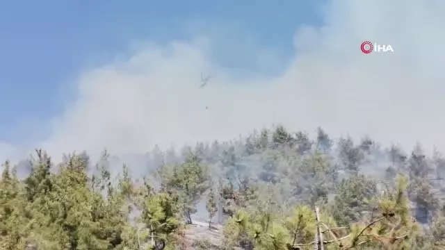 Kahramanmaraş'ta orman yangını