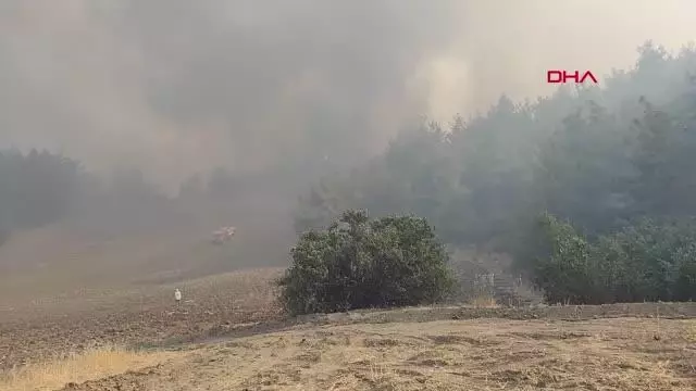 Son dakika haber! KAHRAMANMARAŞ'TA ORMAN YANGINI