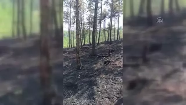 KASTAMONU - Ormanlık alanda çıkan yangında 3 dekar alan zarar gördü