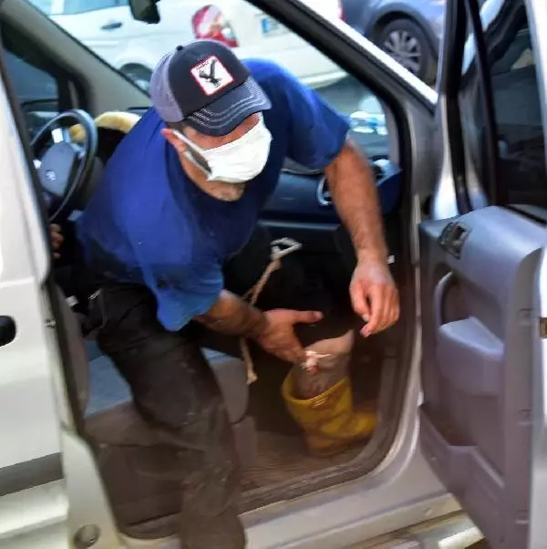 Kayseri'de acemi kasaplar hastaneye koştu