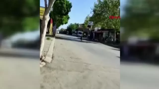 KESİM ALANINDAN KAÇAN İNEK, TRAFİĞİ BİRBİRİNE KATTI