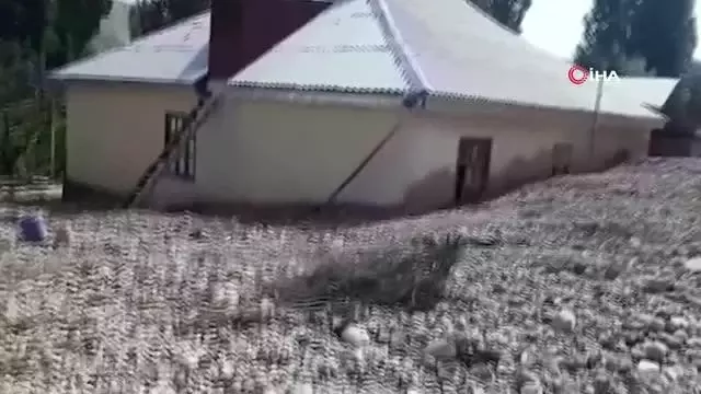 Kırgızistan'da sel: 1 ölü25 ev sular altında kaldı