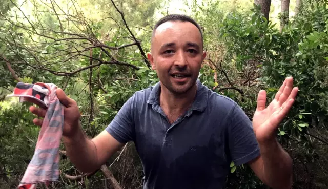 Sahibinin elinden kaçarak uçuruma yuvarlanan büyükbaş hayvan düştüğü alanda kesildi