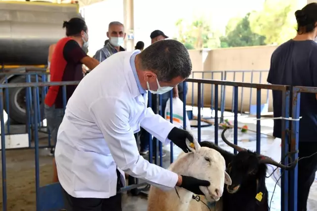 Konyaaltı Belediyesi'nden kurban denetimi