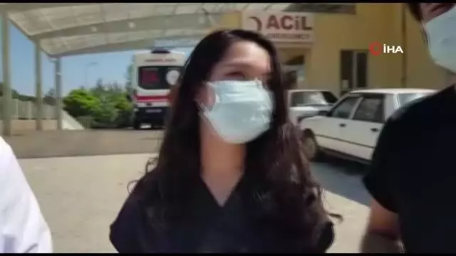 Koruma altındaki geyik böceği Manisa'da görüldü