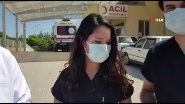 Koruma altındaki geyik böceği Manisa'da görüldü