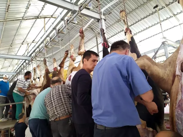 Küçükçekmece'de kurban gerginliği Küçükçekmece'de kurban gerginliği
