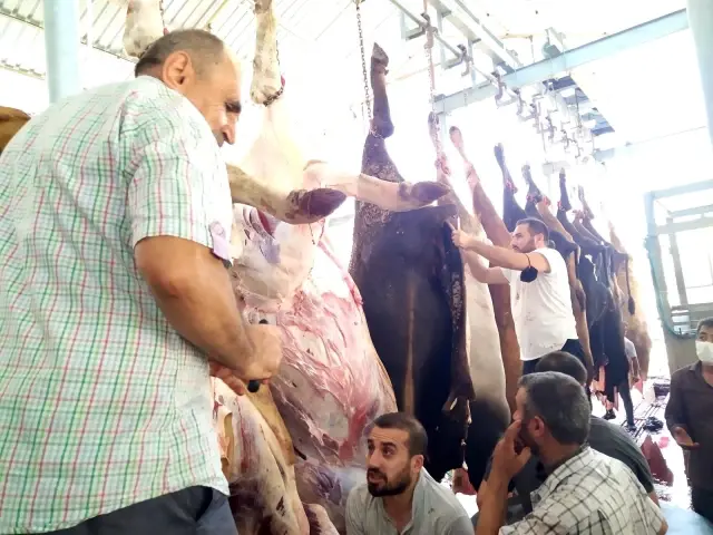 Küçükçekmece'de kurban gerginliği