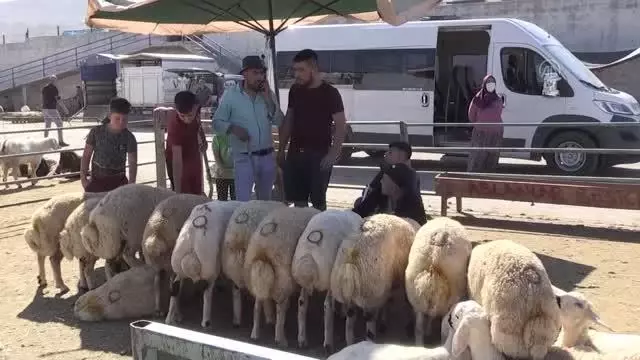 Kurban Bayramı kutlanıyor