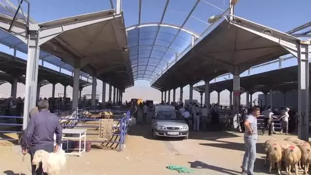Kurban Bayramı kutlanıyor