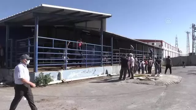 Kurban Bayramı kutlanıyor