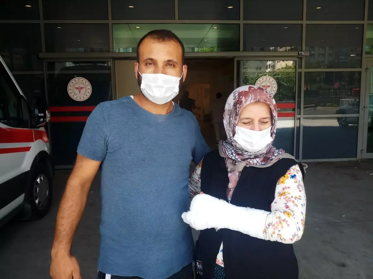 Son dakika haber | Kurban Bayramı'nın ilk günü acemi kasaplar hastanelik oldu