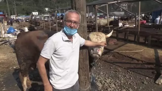 Kurban Bayramı'nın ilk gününde hayvan pazarında yoğunluk