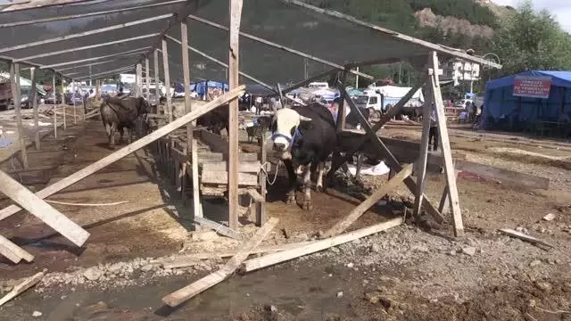Kurban Bayramı'nın ilk gününde hayvan pazarında yoğunluk