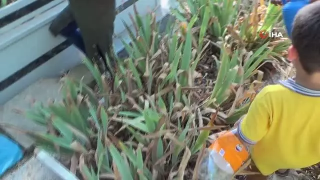 Kurban Bayramı'nın ilk gününde şehitliklere ziyaret