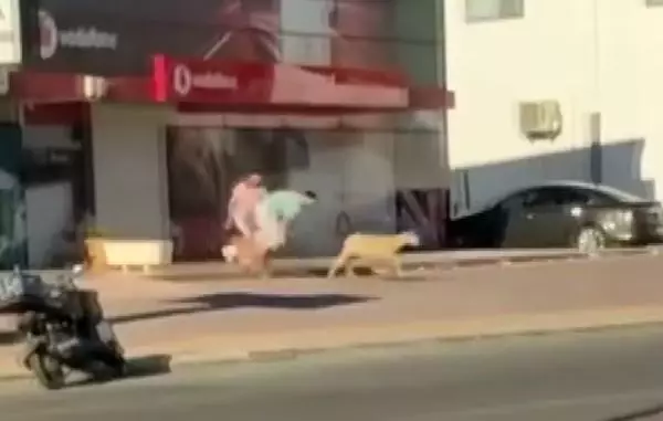 KESİM ALANINDAN KAÇAN İNEK, TRAFİĞİ BİRBİRİNE KATTI