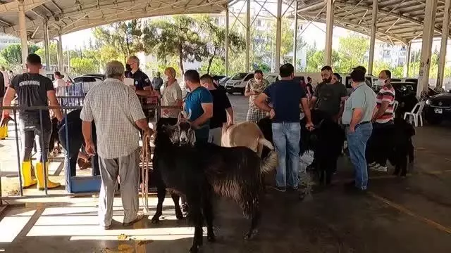 Kurban kesim yerlerinde hareketlilik Kurban kesim yerlerinde hareketlilik