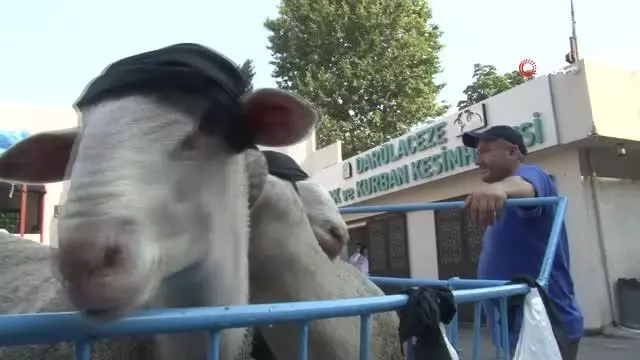 Kurban kesimi başladı