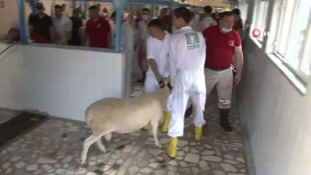 Kurban kesimi başladı