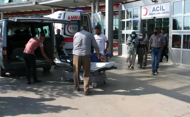 Kurban kesimi esnasında yaralanan 20 kişi hastanenin yolunu tuttu Kurban kesimi esnasında yaralanan 20 kişi hastanenin yolunu tuttu