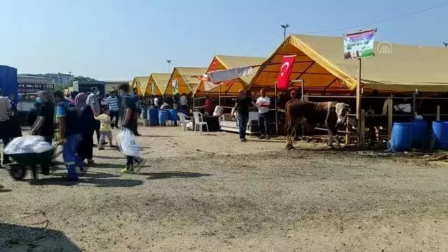 Kurban pazarları ve kesimhanelerde hareketlilik yaşanıyor