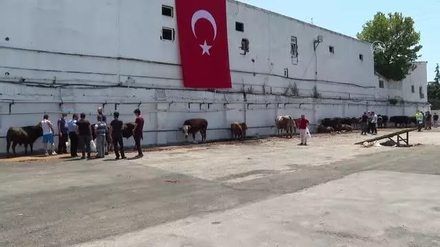 Kurban pazarları ve kesimhanelerdeki yoğunluk sürüyor