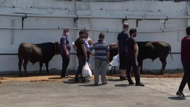 Kurban pazarları ve kesimhanelerdeki yoğunluk sürüyor