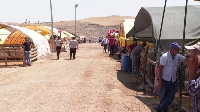 Kurban pazarlarında ve kesimhanelerde hareketlilik yaşanıyor Kurban pazarlarında ve kesimhanelerde hareketlilik yaşanıyor