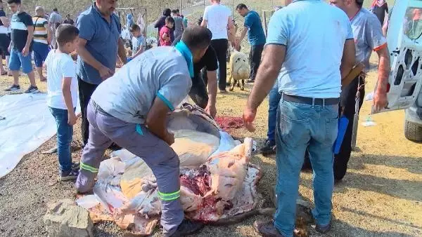 KURBAN SATIŞ VE KESİM YERLERİNDE YOĞUNLUK KURBAN SATIŞ VE KESİM YERLERİNDE YOĞUNLUK