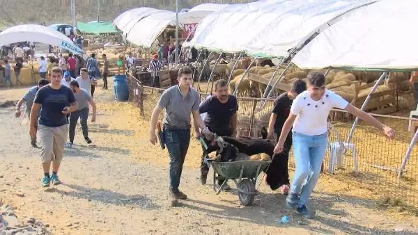 KURBAN SATIŞ VE KESİM YERLERİNDE YOĞUNLUK