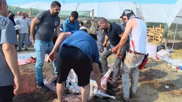 KURBAN SATIŞ VE KESİM YERLERİNDE YOĞUNLUK