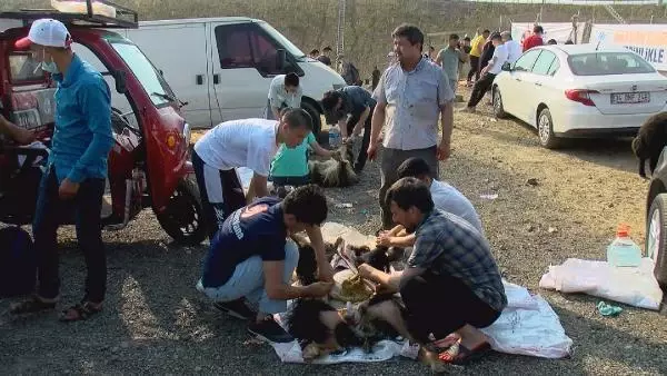 KURBAN SATIŞ VE KESİM YERLERİNDE YOĞUNLUK