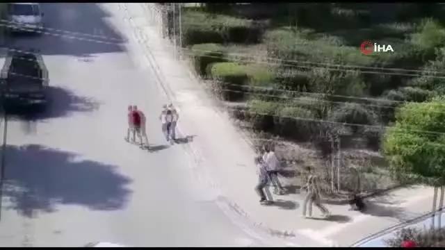 Kurbanlık dana kaçtı, onlar kovaladı