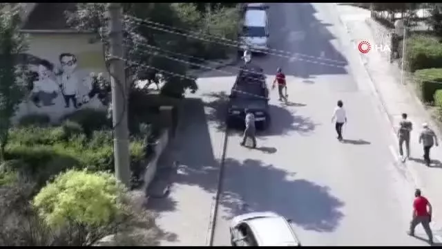 Kurbanlık dana kaçtı, onlar kovaladı