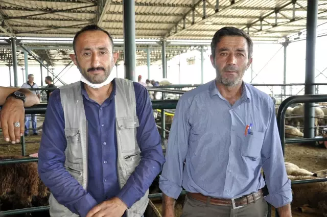 Kurbanlıklar elde kaldı, fiyatlar düştü