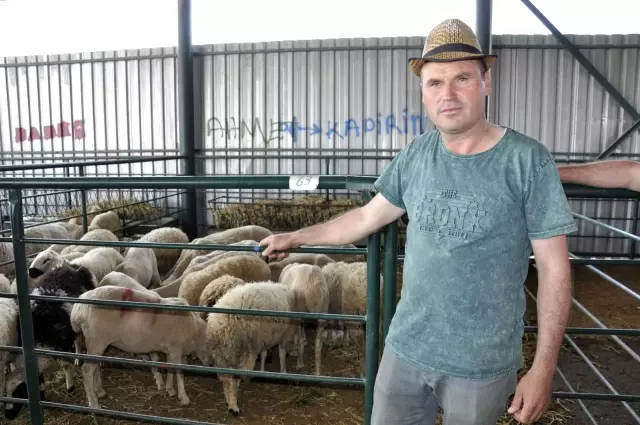 Kurbanlıklar elde kaldı, fiyatlar düştü