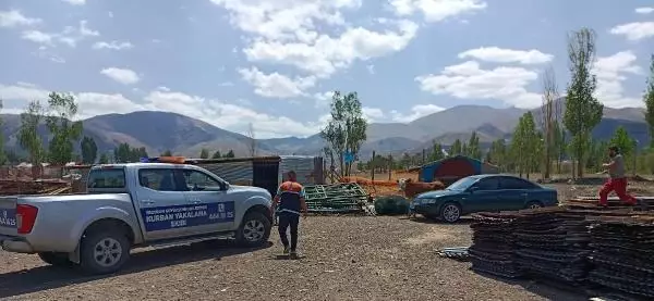 Kurbanlıklar kaçtı, sahipleri peşlerinden koştu