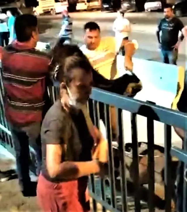 Satın aldıkları kurbanları götürmek için kapıların üzerinden atladılar