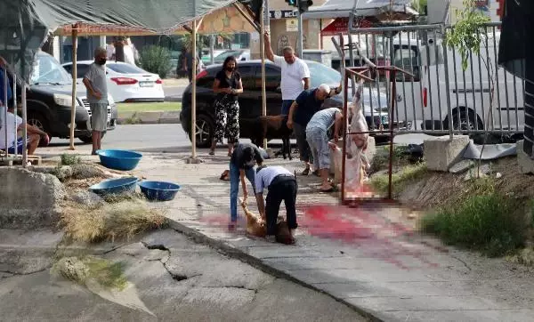 Kurbanlıklarını sokaklarda kestiler Kurbanlıklarını sokaklarda kestiler