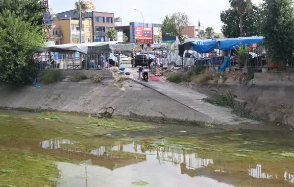 Kurbanlıklarını sokaklarda kestiler