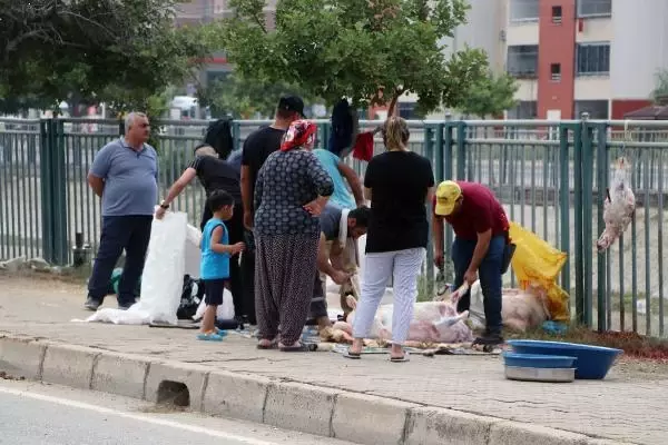 Kurbanlıklarını sokaklarda kestiler