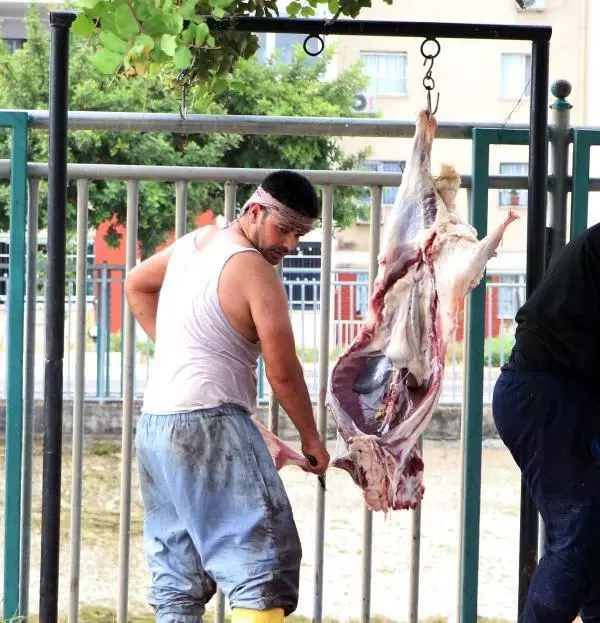Kurbanlıklarını sokaklarda kestiler