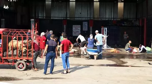 Kurbanlıklarını sokaklarda kestiler