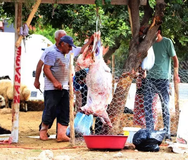 Kurbanlıklarını sokaklarda kestiler