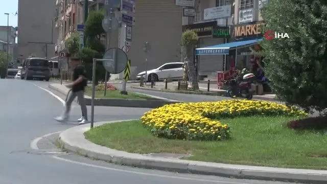 Kuyruğundan tuttuğu dananın peşinden böyle sürüklendi