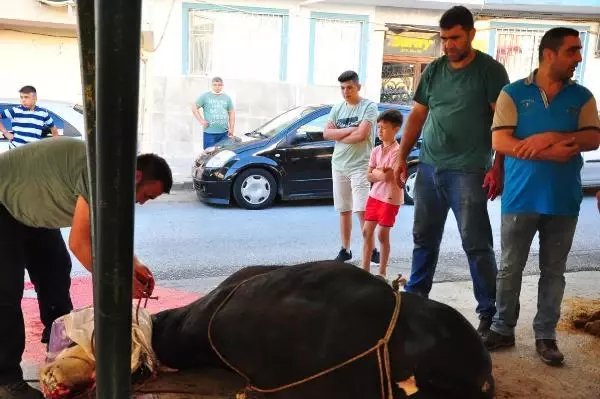 Manisa'da kurban manzaraları