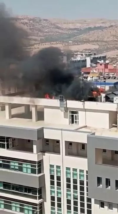 Son dakika haberleri... Mardin İl Sağlık Müdürlüğü'nde yangın