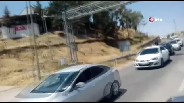 Munzur Vadisi Milli Parkı'nın insan etkileşimine kapatılması çağrısı Munzur Vadisi Milli Parkı'nın insan etkileşimine kapatılması çağrısı